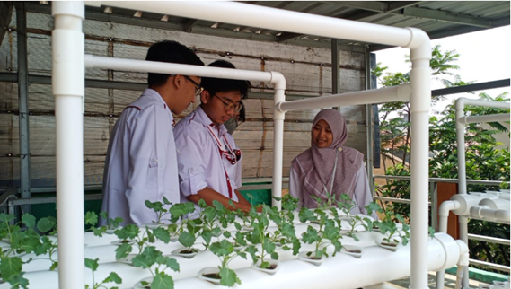 Empowering Posyandu Cadres through Internet of Things-based Hydroponic Cultivation